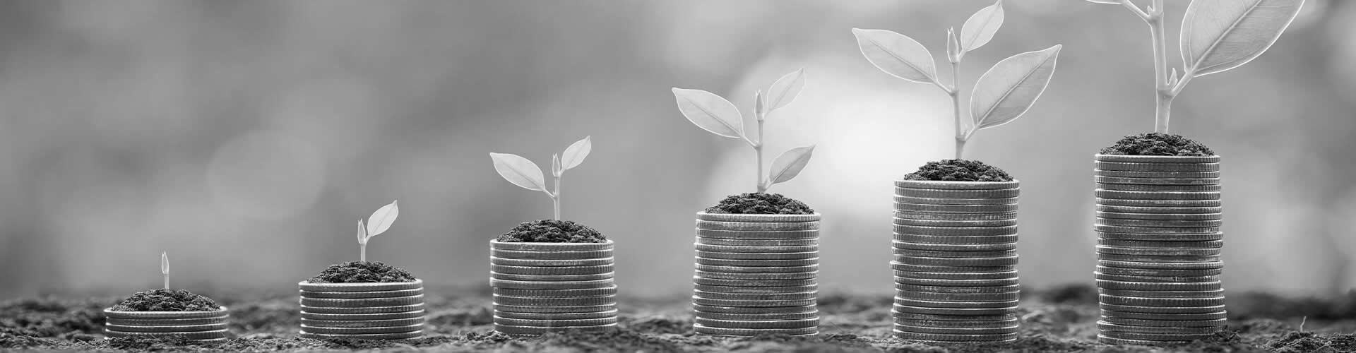 Economic Planning and Development